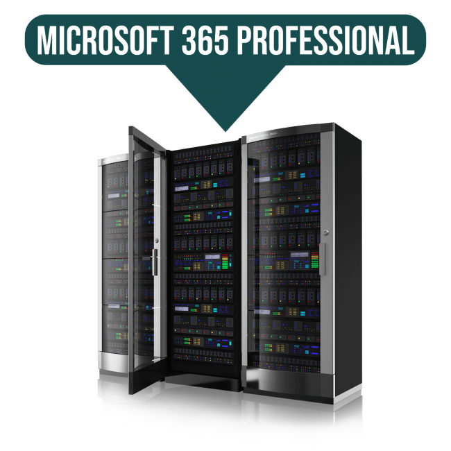 Microsoft 365 Professional